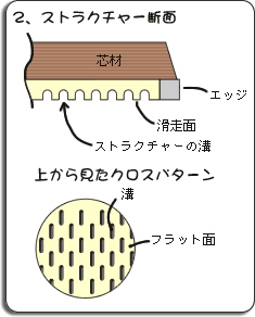 ストラクチャ－断面イラスト